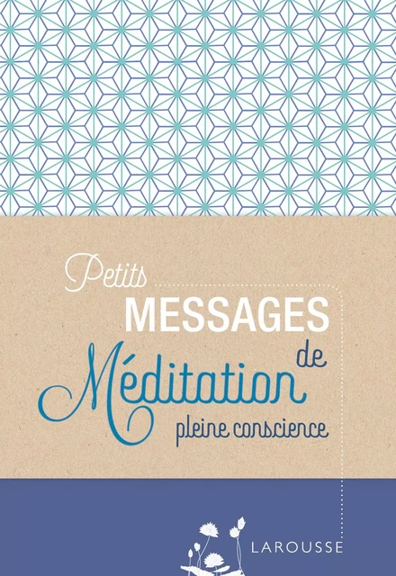 Petits messages de méditation pleine conscience -  Collectif - Larousse