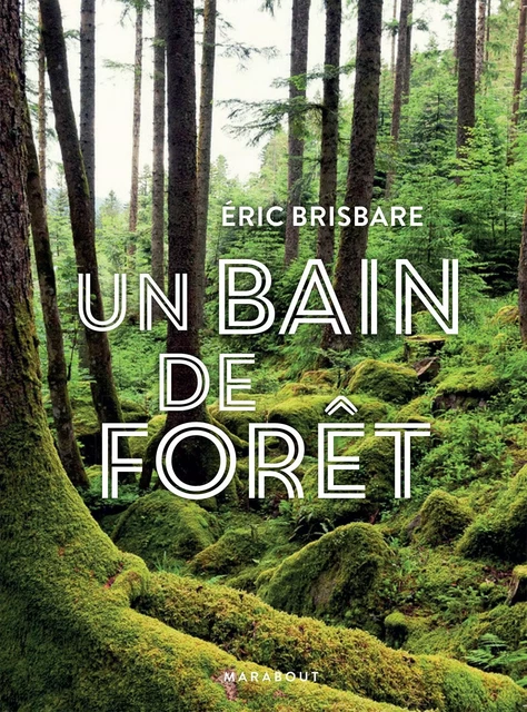 Un bain de forêt - Edition illustrée - Eric Brisbare - Marabout