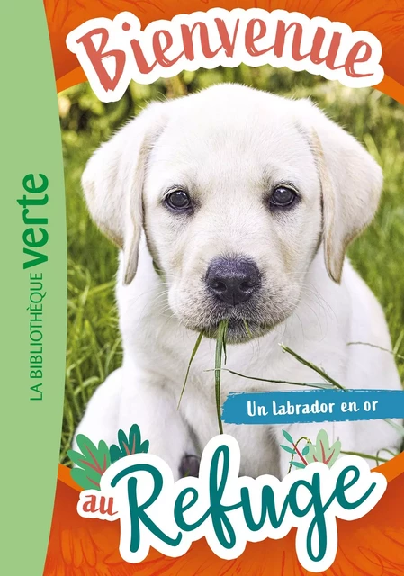 Bienvenue au refuge 08 - Un labrador en or - Hachette Livre - Hachette Jeunesse