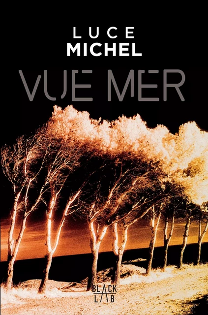 Vue mer - Luce Michel - Hachette Fictions