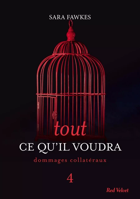 Tout ce qu'il voudra 4 - Sara Fawkes - Hachette Fictions