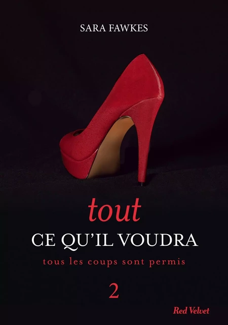 Tout ce qu'il voudra 2 - Sara Fawkes - Hachette Fictions