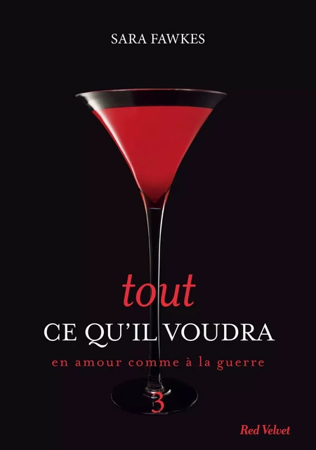 Tout ce qu'il voudra 3 - Sara Fawkes - Hachette Fictions