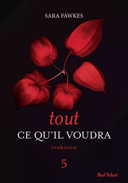 Tout ce qu'il voudra 5 - Sara Fawkes - Hachette Fictions