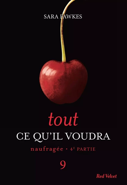 Tout ce qu'il voudra - Naufragée 4ème partie 9 - Sara Fawkes - Hachette Fictions