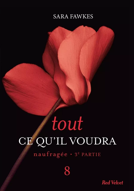 Tout ce qu'il voudra - Naufragée 3ème partie 8 - Sara Fawkes - Hachette Fictions