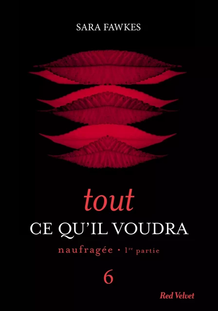 Tout ce qu'il voudra 6 - Sara Fawkes - Hachette Fictions