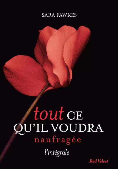 Tout ce qu'il voudra - Naufragée - L'intégrale - Sara Fawkes - Hachette Fictions