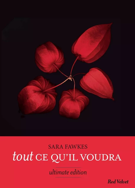 Tout ce qu'il voudra - Ultimate edition - Sara Fawkes - Hachette Fictions