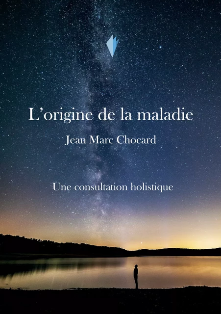 Une consultation holistique - Jean-Marc Chocard - Stylit