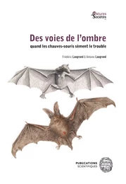 Des voies de l’ombre