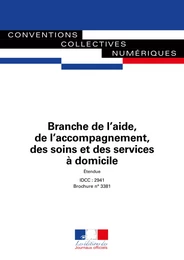 Branche de l'aide, de l'accompagnement, des soins et des services à domicile