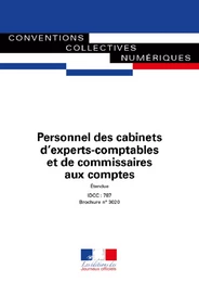 Personnel des cabinets d'experts-comptables et de commissaires aux comptes