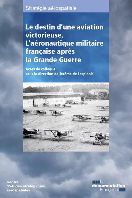 Le destin d'une aviation victorieuse - la Documentation Française - La Documentation française