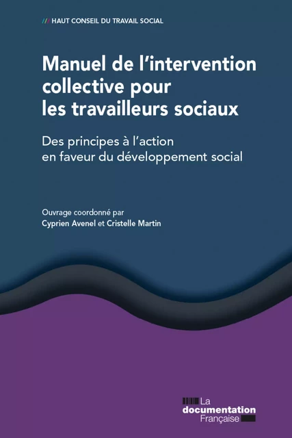 Manuel de l'intervention collective pour les travailleurs sociaux - Haut Conseil du Travail Social - La Documentation française