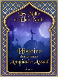 Histoire des princes Amgiad et Assad 