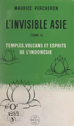 L'invisible Asie (3). Temples, volcans et esprits de l'Indonésie