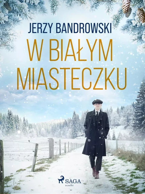 W białym miasteczku - Jerzy Bandrowski - Saga Egmont International