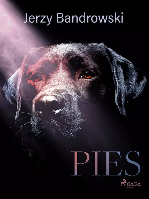 Pies - Jerzy Bandrowski - Saga Egmont International