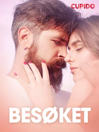 Besøket – erotiske noveller