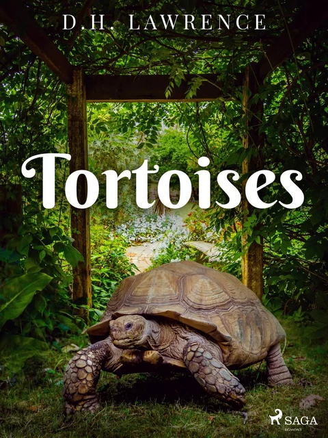 Tortoises - D.H. Lawrence - Saga Egmont International