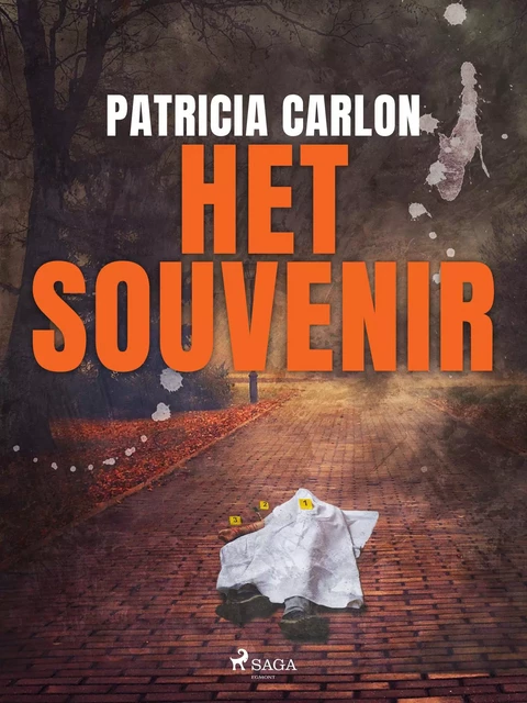 Het souvenir - Patricia Carlon - Saga Egmont International