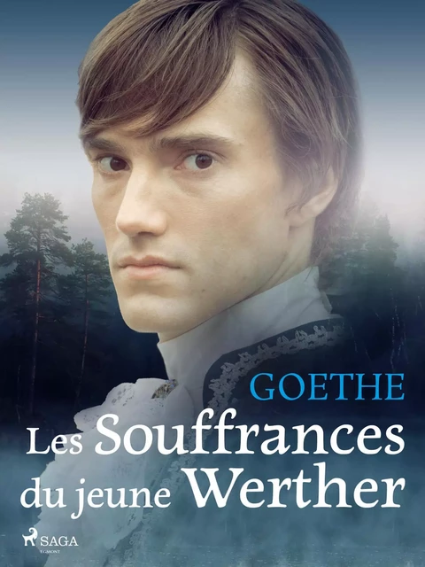 Les Souffrances du jeune Werther - Johann Wolfgang von Goethe - Saga Egmont French