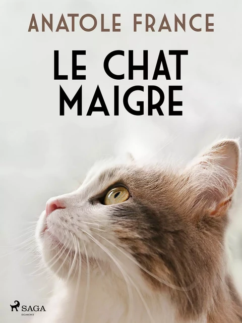 Le Chat maigre - Anatole France - Saga Egmont French