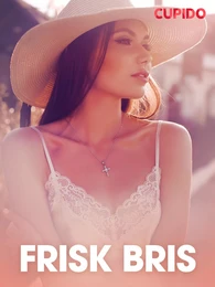 Frisk bris – erotiske noveller