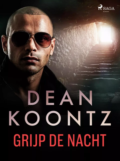 Grijp de nacht - Dean Koontz - Saga Egmont International