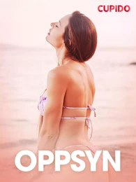 Oppsyn – erotisk novelle