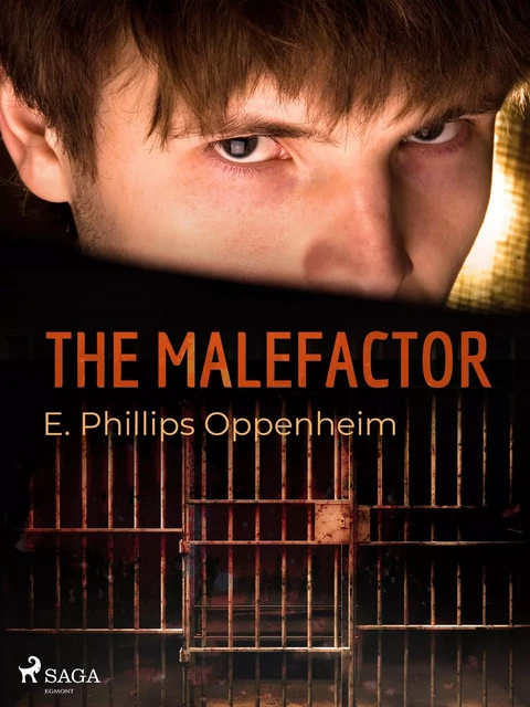 The Malefactor - Edward Phillips Oppenheimer - Saga Egmont International