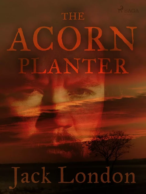 The Acorn Planter - Jack London - Saga Egmont International