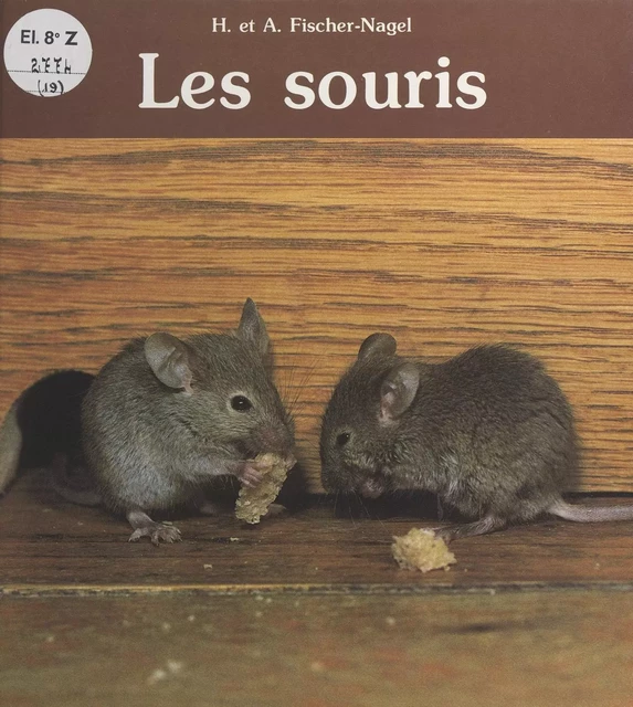 Les souris - Andreas Fischer-Nagel, Heiderose Fischer-Nagel - FeniXX réédition numérique