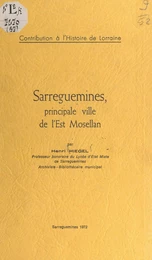 Sarreguemines, principale ville de l'Est mosellan