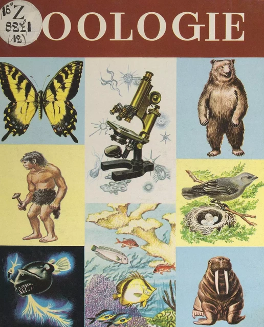 Zoologie - Raymond Will Burnett, Harvey Fisher, Herbert Spencer Zim - FeniXX réédition numérique