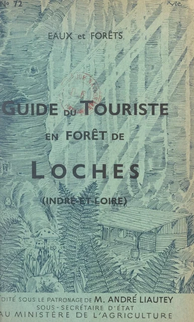 Guide du touriste en forêt de Loches (Indre-et-Loire) - André Liautey - FeniXX réédition numérique