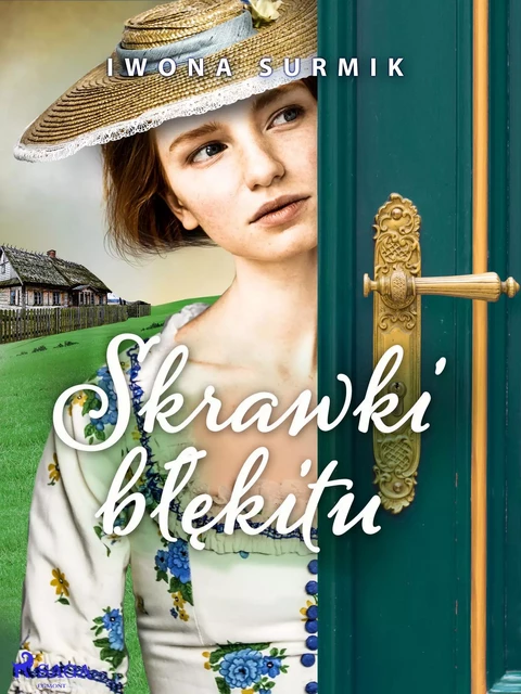 Skrawki błękitu - Iwona Surmik - Saga Egmont International