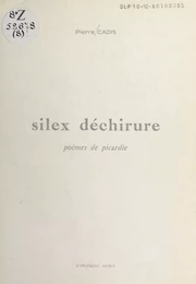 Silex déchirure