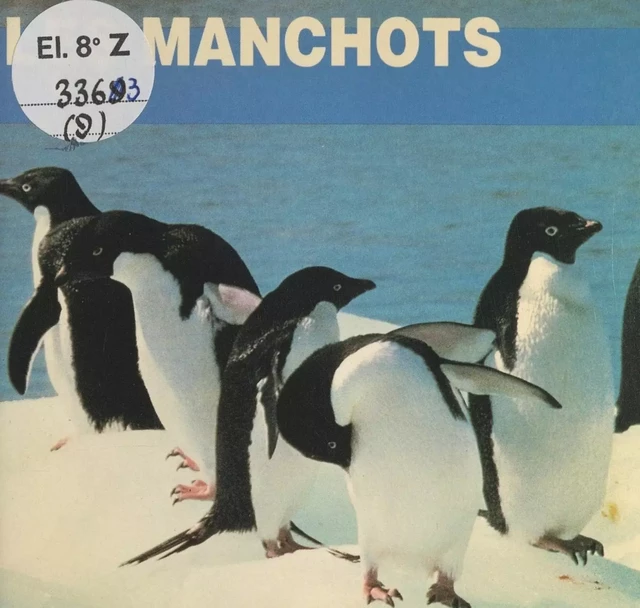 Les manchots - Elizabeth Elias Kaufman - FeniXX réédition numérique