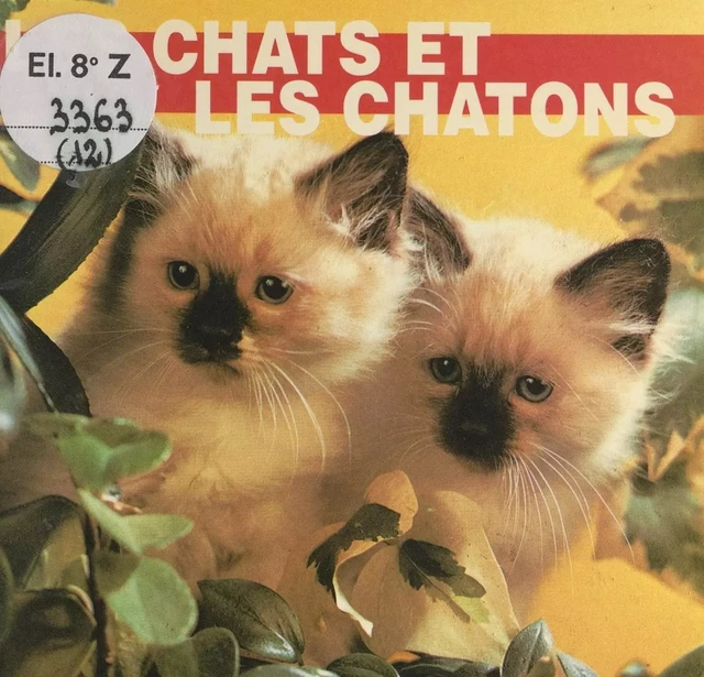 Les chats et les chatons - Elizabeth Elias Kaufman - FeniXX réédition numérique