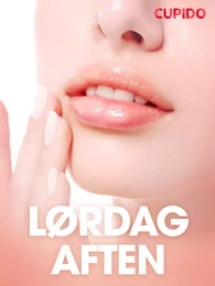 Lørdag aften - erotiske noveller