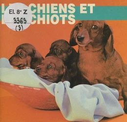 Les chiens et les chiots