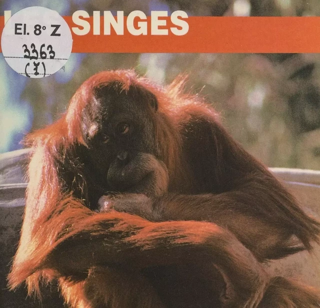 Les singes - Elizabeth Elias Kaufman - FeniXX réédition numérique