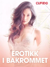 Erotikk i bakrommet  - erotiske noveller