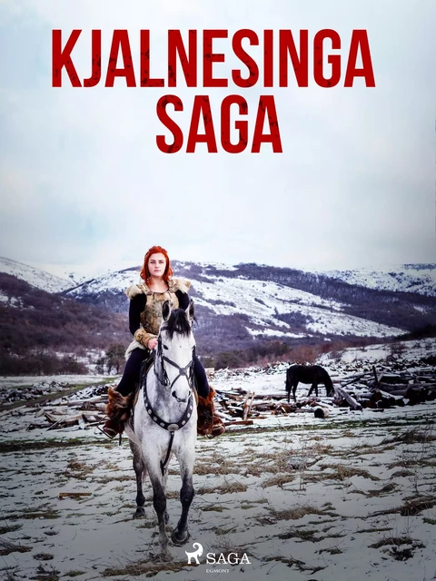 Kjalnesinga saga  -  Óþekktur - Saga Egmont International