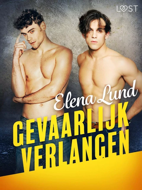 Gevaarlijk verlangen - erotisch verhaal - Elena Lund - Saga Egmont International