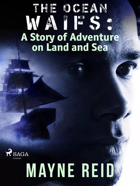 The Ocean Waifs: A Story of Adventure on Land and Sea  - Mayne Reid - Saga Egmont International