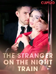 The Stranger on the Night Train