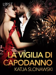 La vigilia di Capodanno - Breve racconto erotico